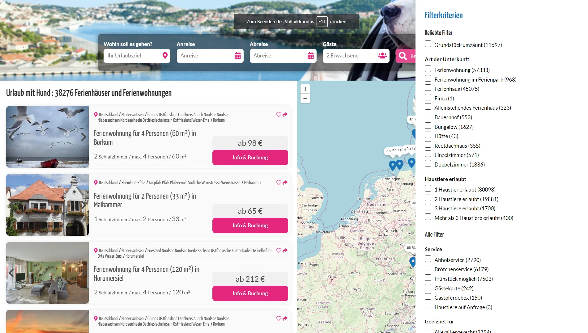 Ferien mit Hund – Fokus Screenshot