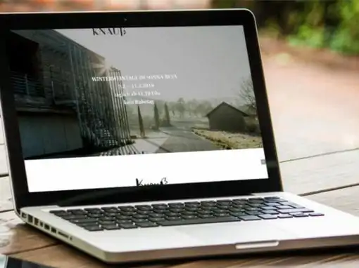 Weingut Knauß – Screenshot der Website